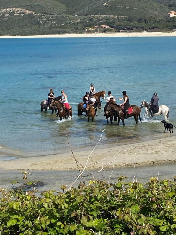 Caselena , Un Havre De Paix En Balagne Ville-di-Paraso 外观 照片